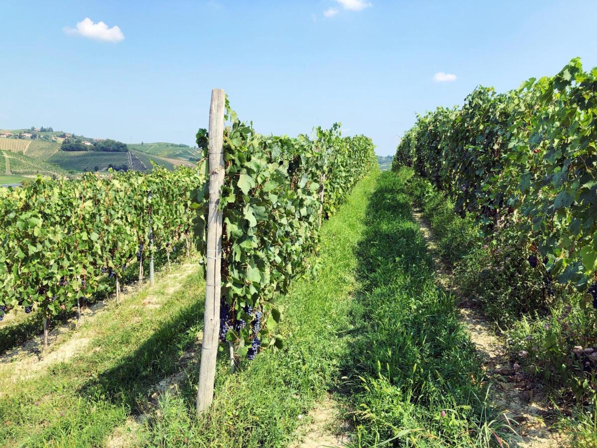 Agriturismo La Mussia Castelnuovo  Luaran gambar