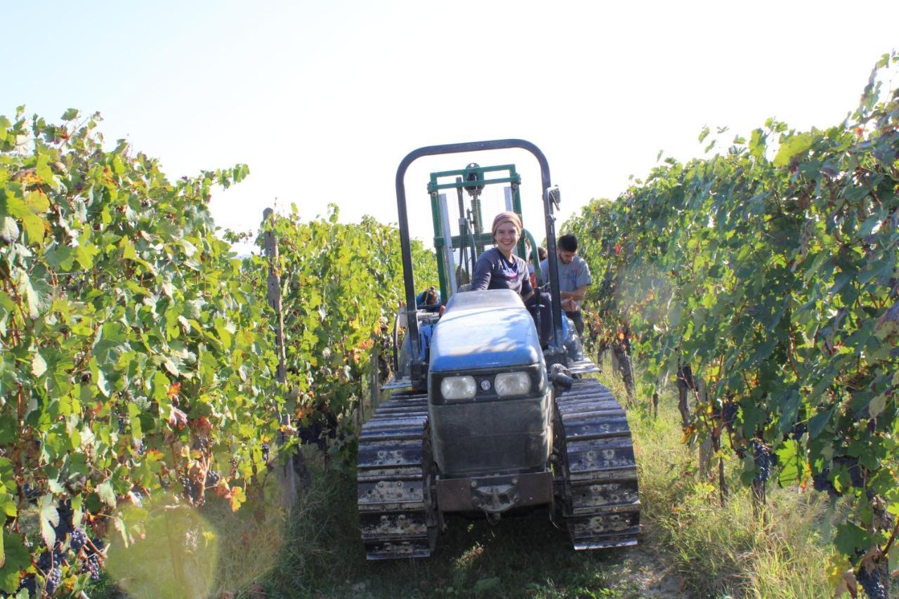 Agriturismo La Mussia Castelnuovo  Luaran gambar