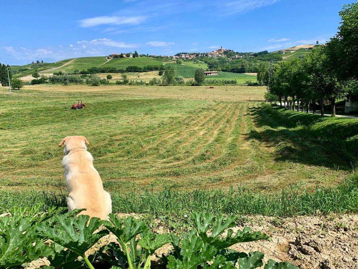 Agriturismo La Mussia Castelnuovo  Luaran gambar